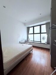 Holland Link (D10), Terrace #617746311